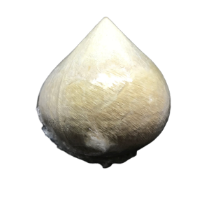 Nam-Hom Coconut (ฺBall shape)