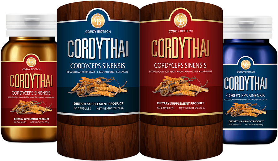 Cordythai